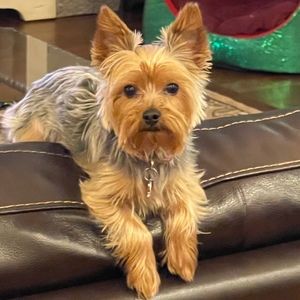 Meet your Posher, Stephen